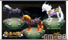 新的坐骑爆料攻略大全视频,视频全解析，轻松驾驭全新坐骑！